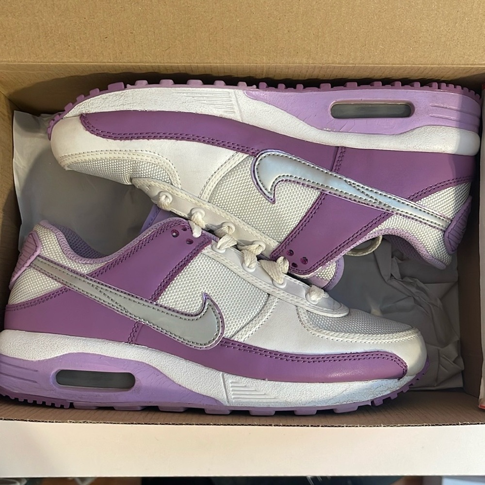 Nike Air Max (Purple/Silver)